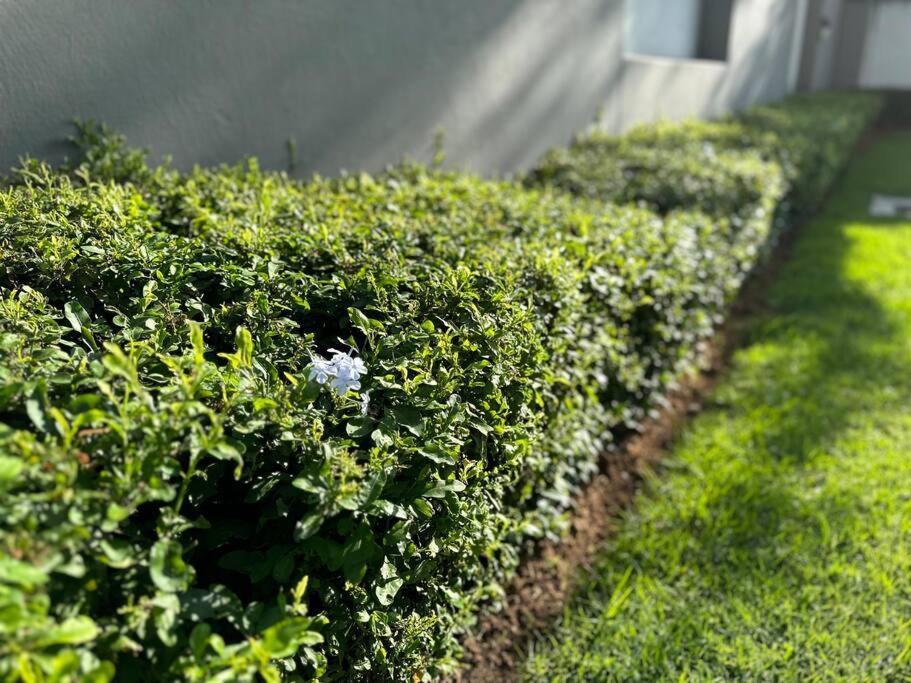 D&dluxury Rivonia With Inverter Apartment